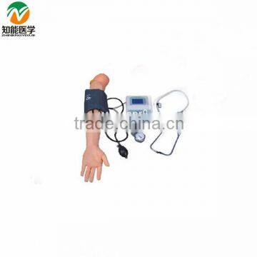 Advanced Blood Pressure measurement training Simulator(nursing model) BIX-HS7