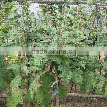 farm field anti-bird net