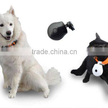 factory offer mini digita pet camera for pet ECO-188