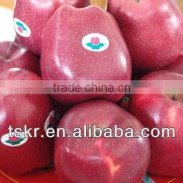 2013 fresh china hua niu apples