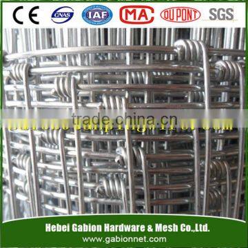 Supply Electro Galvanized Horse Fence