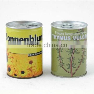 Thyme tin plants, Cans flower,Mini plants,Decorative plants