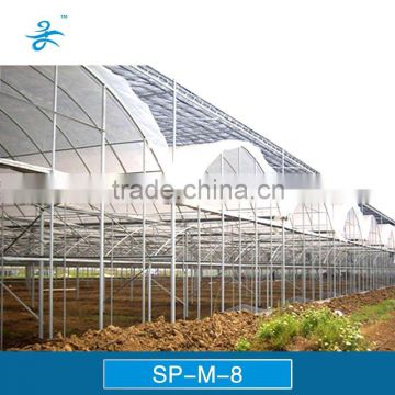 Film greenhouse Hot-dip galvanized steel frame