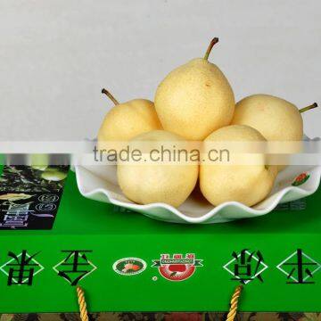 ARTS OF APPLES(1) photo-3