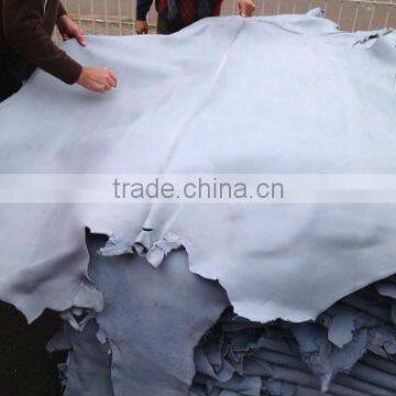 Wet Blue Cow Hide