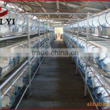 The Farming Breeding Commercial Galvanized Wire Rabbit CageFor Sale In China