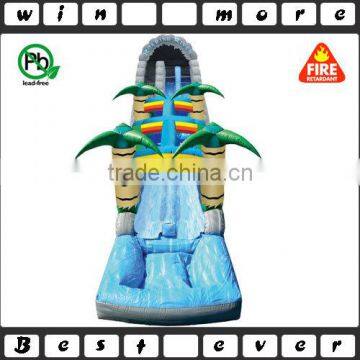Giant Inflatable Roaring River Dual Lane Splash Water Slide n Slip Slide, Cheap Inflatable Water Slides for Sale