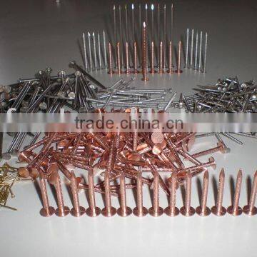 stainless steel nail/copper nail