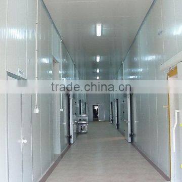 Cheap new arrival walk in cold room for vegetable storage