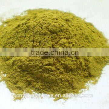 Sweet Tea Leaf 100mesh , 280mesh Sweet Tea ExtractRubusoside Natural Sweetener OEM Service photo-3