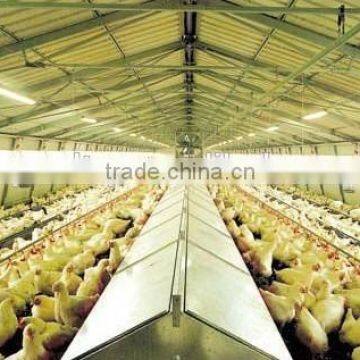 Automatic poultry pan feeder in chicken house
