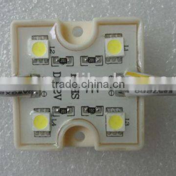 COOL WHITE 5050 SMD LED module,DC12V,20pcs a string