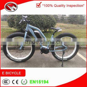 2016 New Year Gift mid-motor mountain e-bike with 250w bottle battery