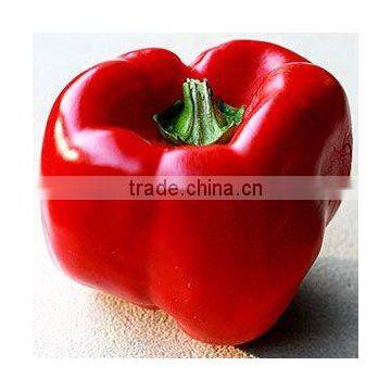 OLEORESIN PAPRIKA (Spice Oleoresin)