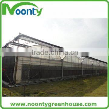 Professional Greenhouse Project Commercial Hydroponic Systems photo-2