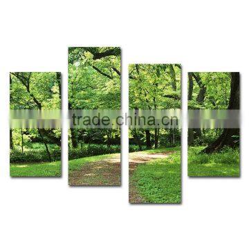 Green Forest Scene for printing on canvas living room