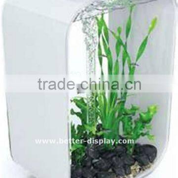 Wholesale Clear Acrylic Terrarium Plants photo-2