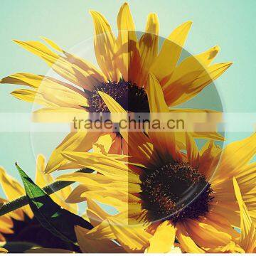 (CE/FDA)sunglass optical lens