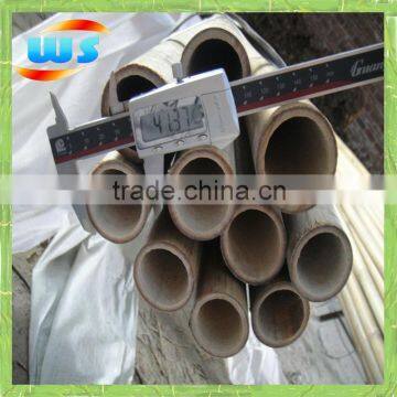 Big bamboo pole for support tree 10' X50/60mm