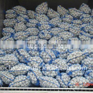 Customized Mesh Bag For Garlic/Potato For Europe Market