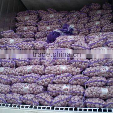 Plastic Mesh Bag For Garlic/Potato For Exporting From China