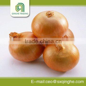 2015 New fresh yellow onion export to Korea