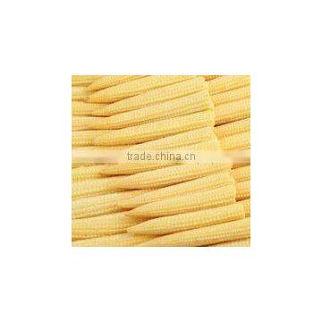 580ml baby sweet corn in glass jars