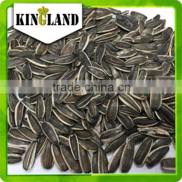 Top Quality Sunflower Seeds (24/68) for Sales/Exports