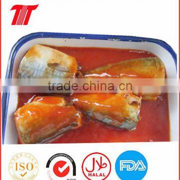 125g 155g 425g OEM Canned Sardine In Tomato Sauce and In Vegetable Oil with Low Price