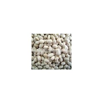 Asparagus Extract Powder