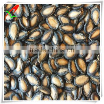 2015 new crop black watermelon seeds, medium size