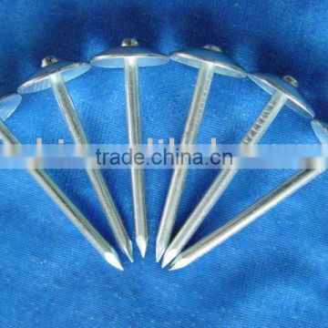 Umbrella Roofing Nail Twisted Shank