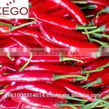 High Quality Fresh Red Hot Chilli Vietnam full size