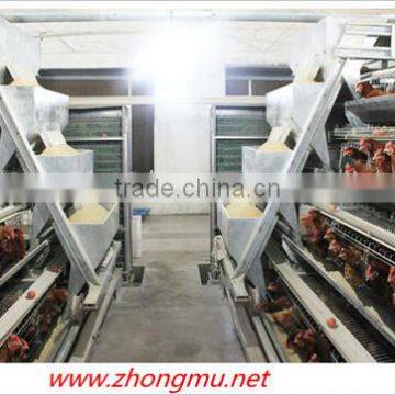 High quality factory price Automatic feeding system for broiler and breeder