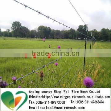 1.6mm hot dipped galvnaized anti-theft barbed wire for sale