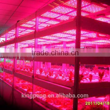 Quarantine Isolated Greenhouse for Scientific Research photo-3