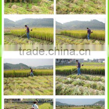 Backpack Mini Rice Cutter Sugarcane Harvester Price Small Paddy Harvest Machine for Sale HLBG520 - A photo-3