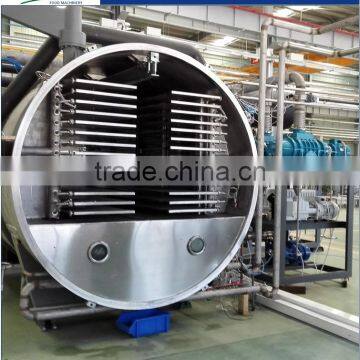 Fruits & Vegetables Lyophilization Machine