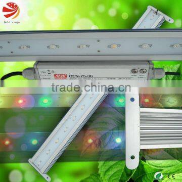 super power LED hydroponic light system indoor