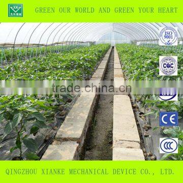 Advanced Agricultural Greenhouse for Vegetable photo-5