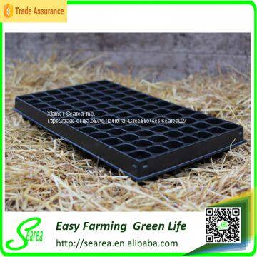Seed-Starting Secrets of a Greenhouse Professional photo-3