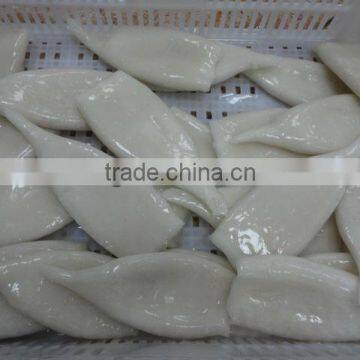 Frozen Squid Tube Todarodes Pacificus U7 U10 photo-2