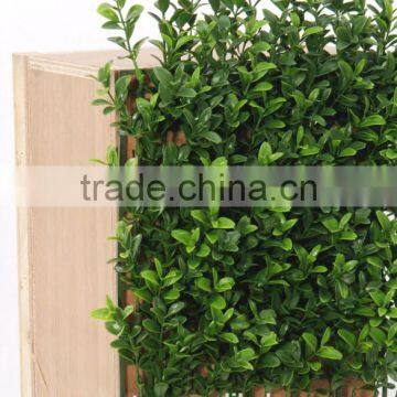 New Generation Boxwood Top Matt Available in UV Protected and Inherently Flame Retardant photo-2