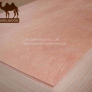 18mm Good Quality and Cheap Price Commercial Plywood