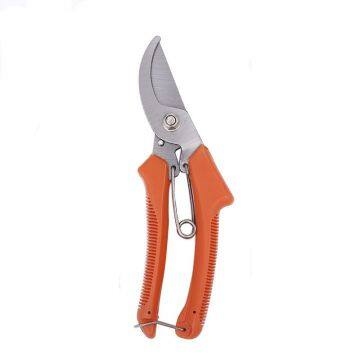 Pruning shear