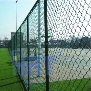 PVC Chain Link Fence photo-3