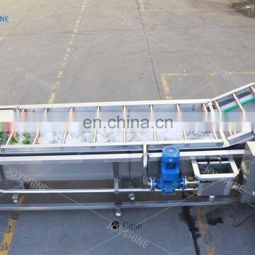 fruit and vegetable air bubble carrot washing machine air bubble and sorting grading machine