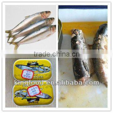 2012 hot selling frozen sardine