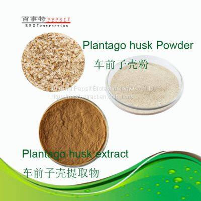 Plantago husk