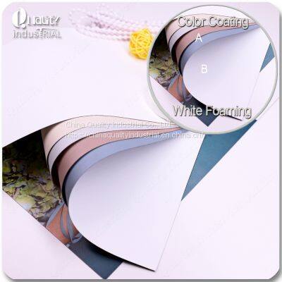 China Supply New Color Coating Foaming Blinds Shade Fabric for Roller photo-3